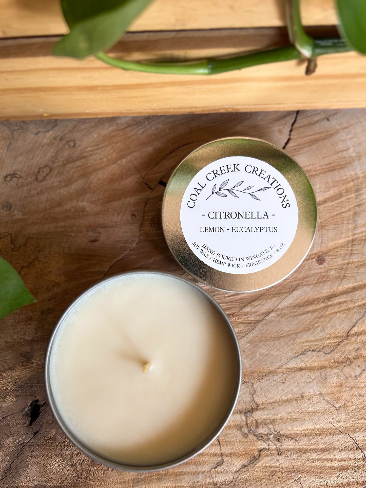 Citronella Outdoor Candle | Lemon | Eucalyptus | Mosquito Repellent | 8oz Soy Wax