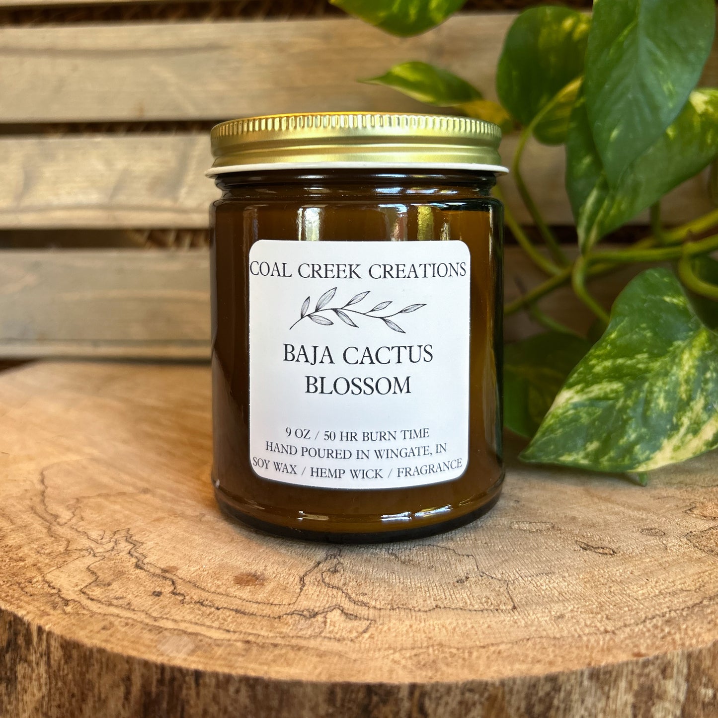 Baja Cactus Blossom  | Scented Natural Soy Candle | Hand poured in Amber Jars with Organic Hemp Wick | Phthalate-free