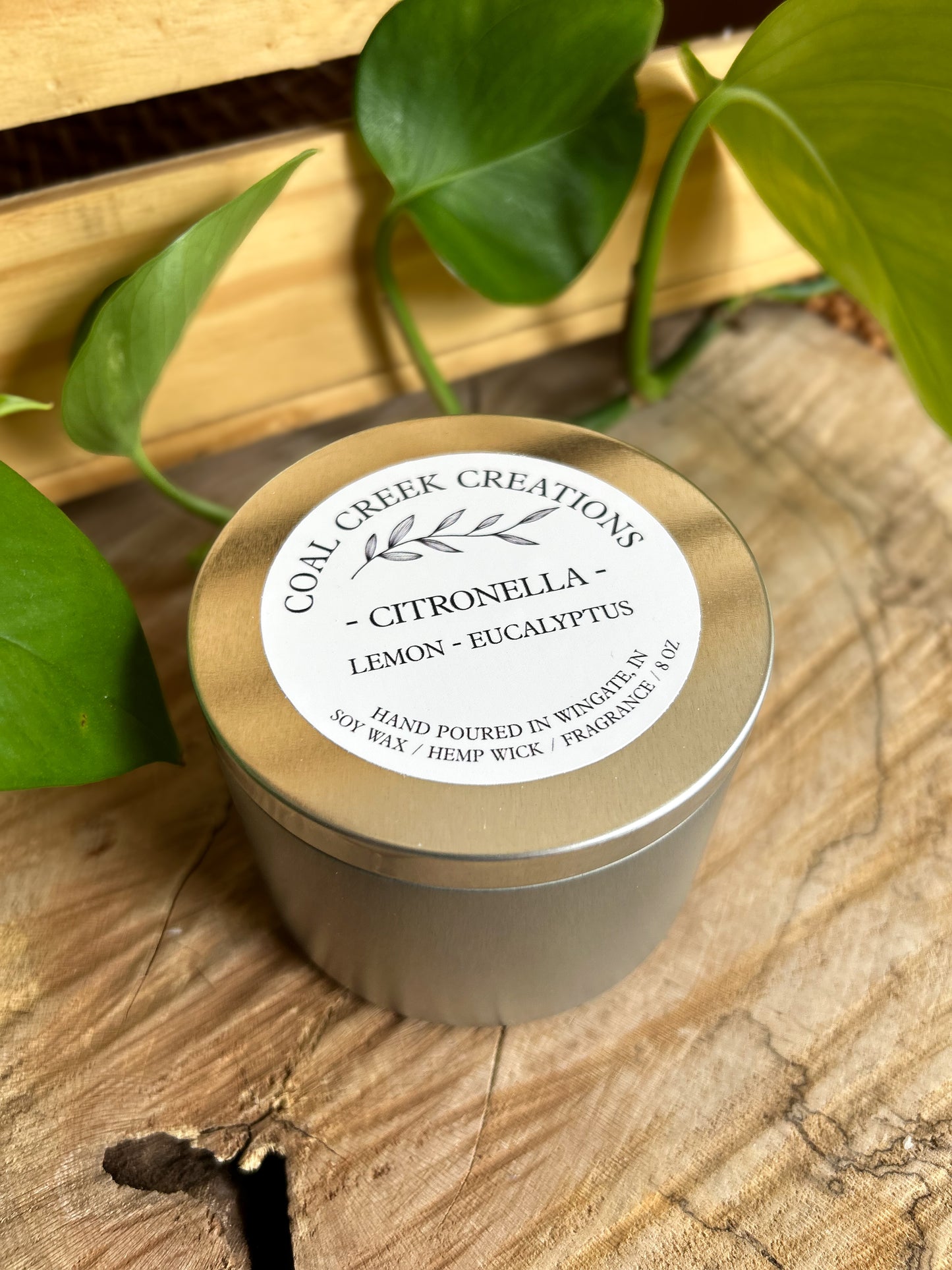 Citronella Outdoor Candle | Lemon | Eucalyptus | Mosquito Repellent | 8oz Soy Wax